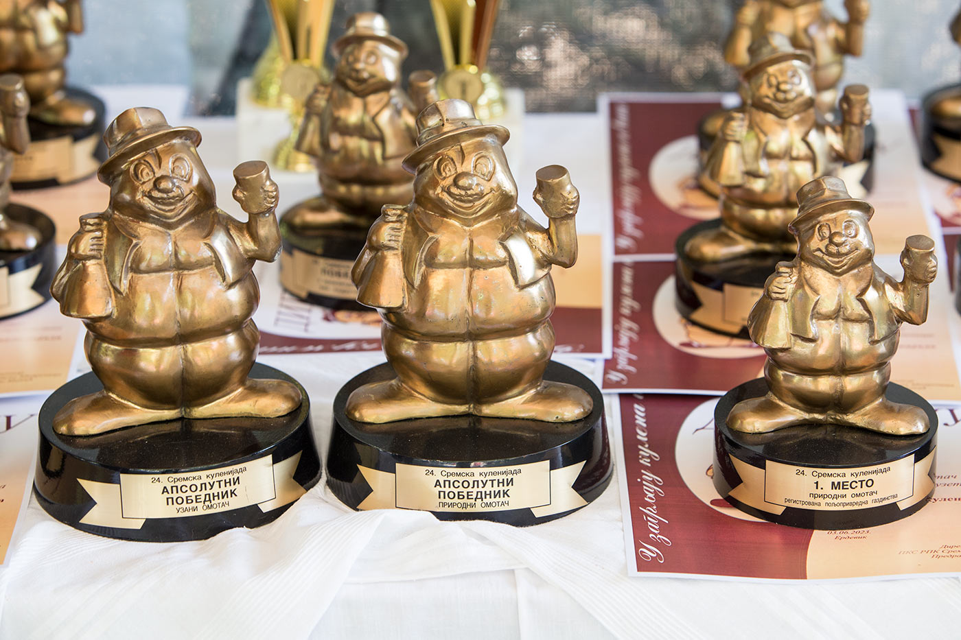 24.СРЕМСКА КУЛЕНИЈАДА